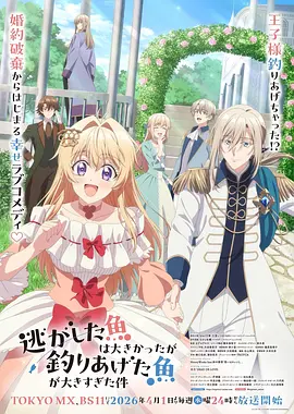海贼王无水印纯净版