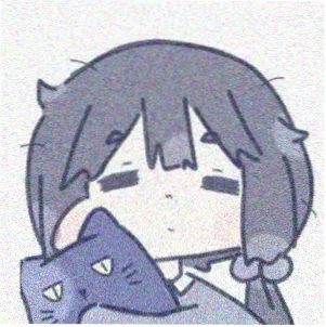 宋佳